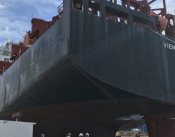 Cernaval bate un récord histórico con la llegada del `Vienna Express´