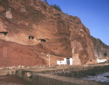 Sardina, puerto del Atlántico.